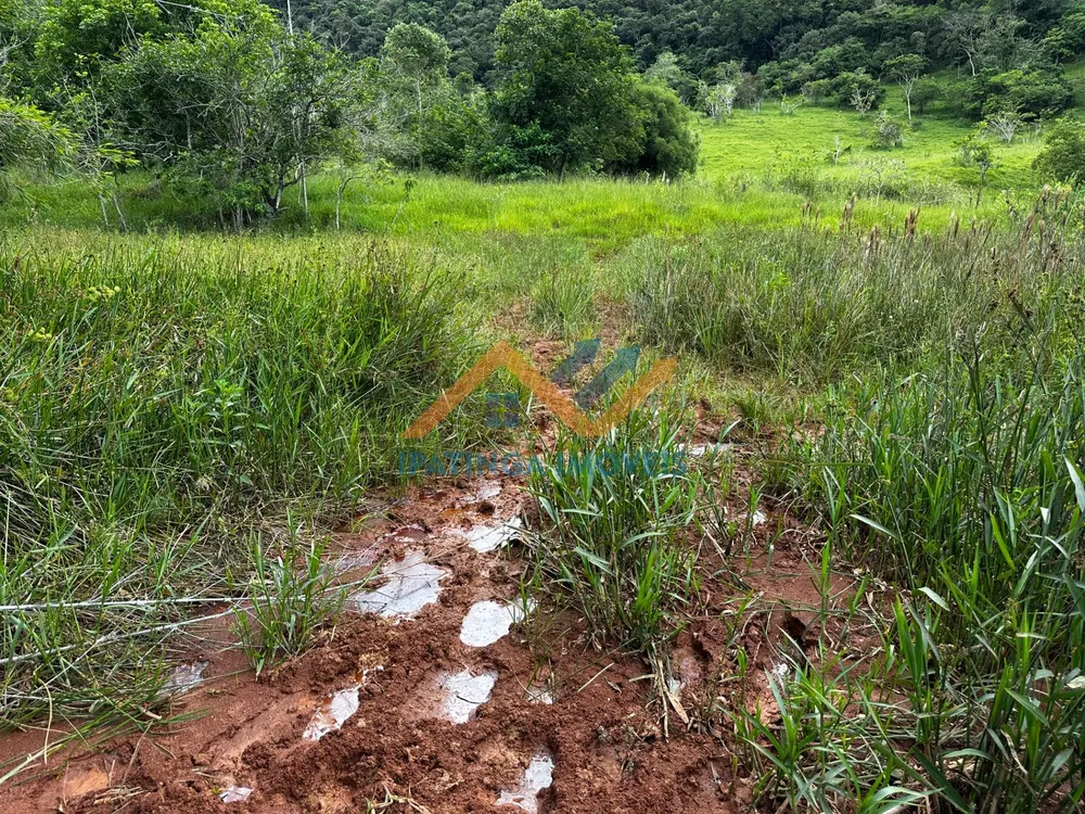 Terreno, 47 hectares - Foto 4