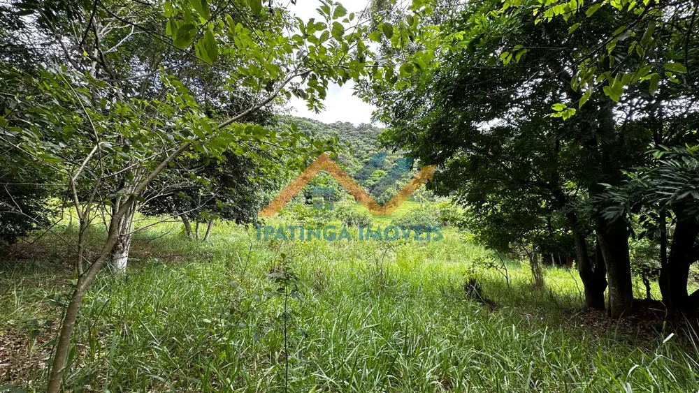 Terreno, 47 hectares - Foto 13