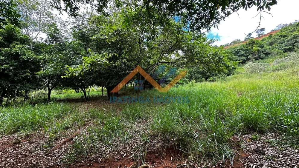 Terreno, 47 hectares - Foto 14