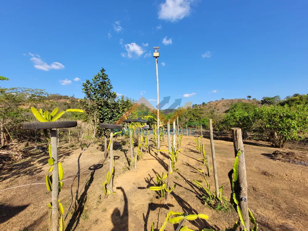 Chácara, 2 quartos, 2000 m² - Foto 2