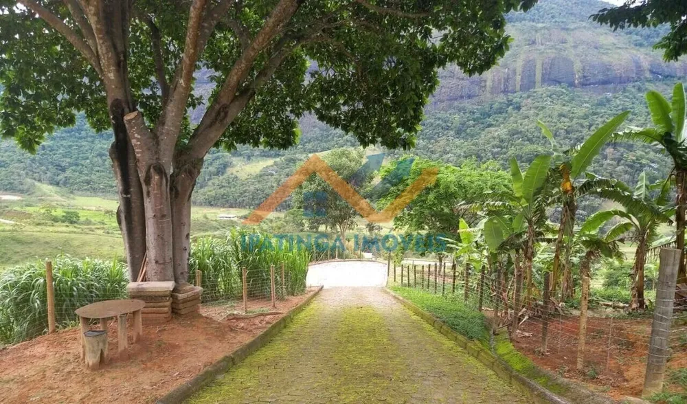 Fazenda, 6 quartos - Foto 3