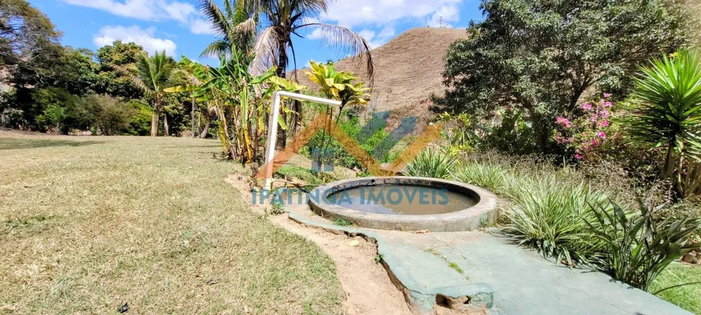 Fazenda, 52 hectares - Foto 14