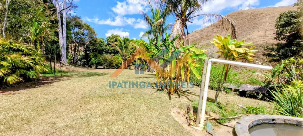 Fazenda, 52 hectares - Foto 15