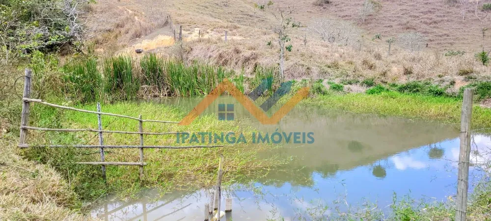 Fazenda, 52 hectares - Foto 8