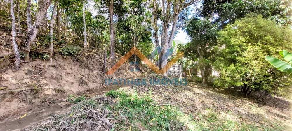 Fazenda, 52 hectares - Foto 16
