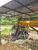 Fazenda, 78 hectares - Foto 4