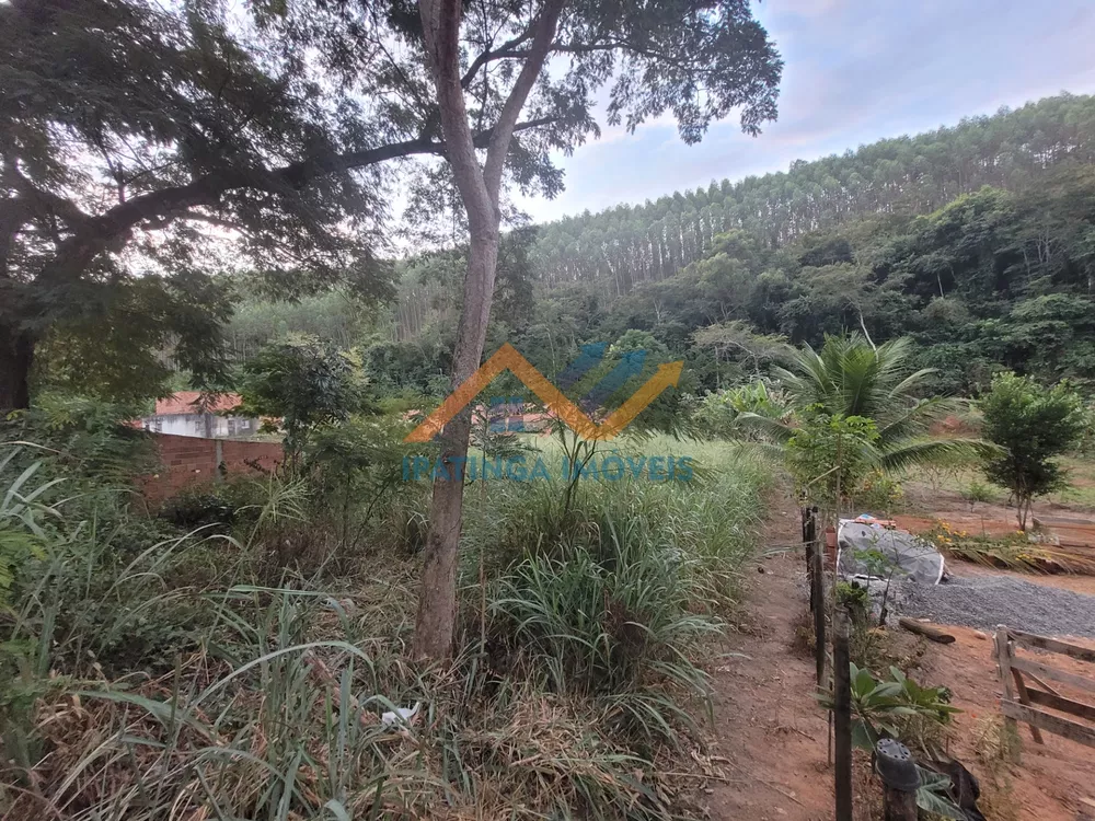 Chácara, 1000 m² - Foto 3