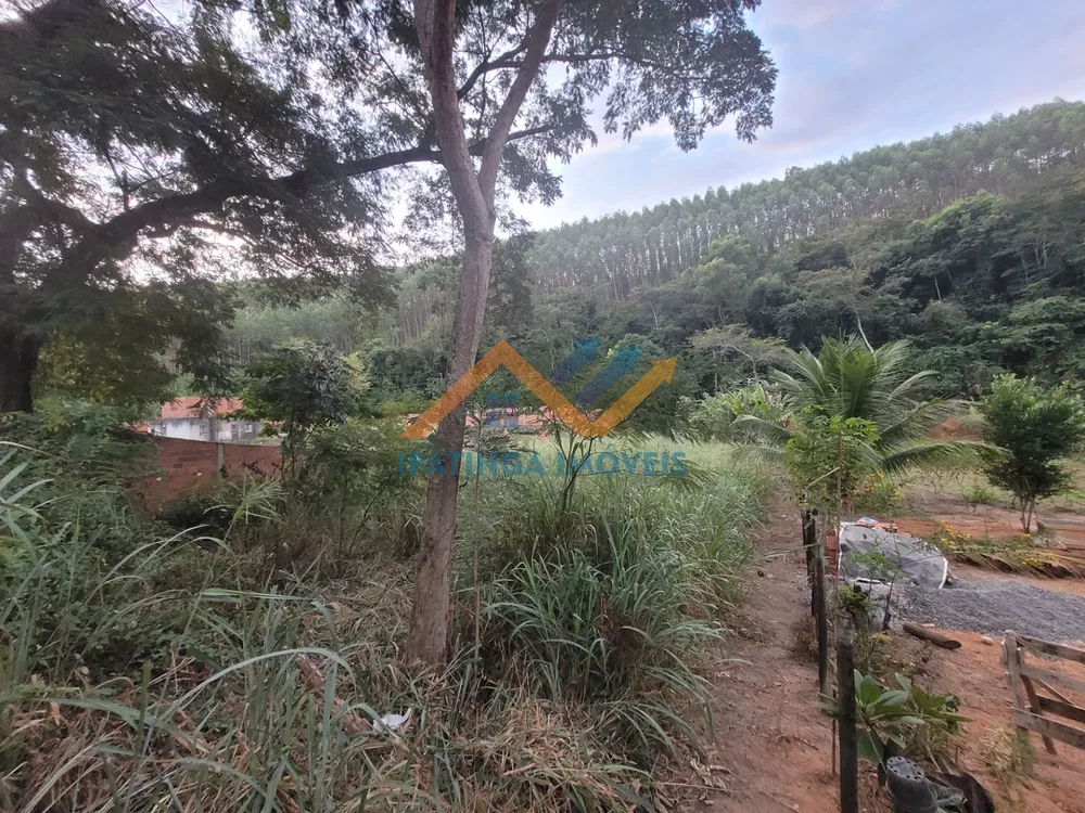 Chácara, 1000 m² - Foto 2