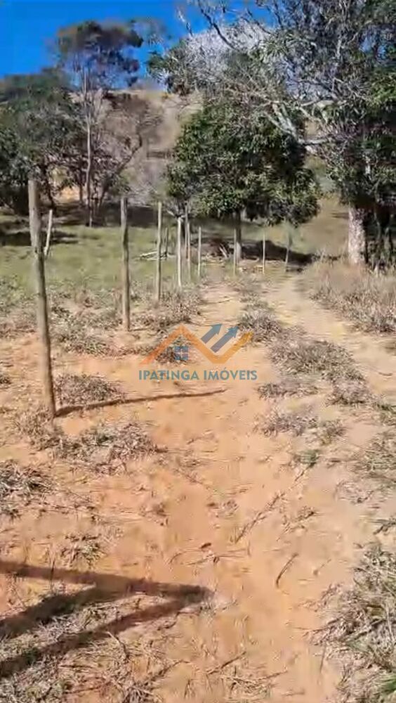 Chácara à venda, 15000m² - Foto 3