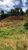 Chácara, 3 hectares - Foto 1