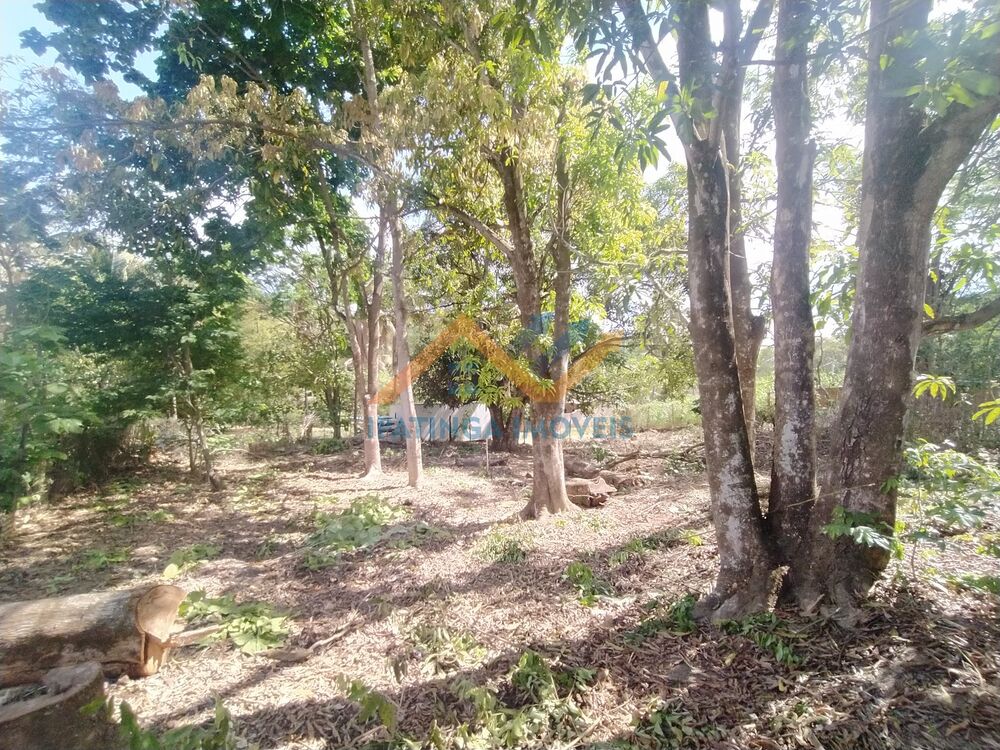 Terreno, 1000 m² - Foto 6