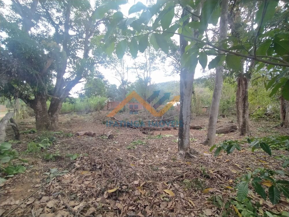 Terreno, 1000 m² - Foto 3