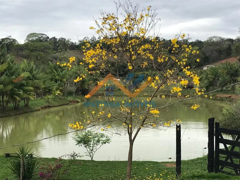 Chácara, 3 quartos, 6 hectares - Foto 1