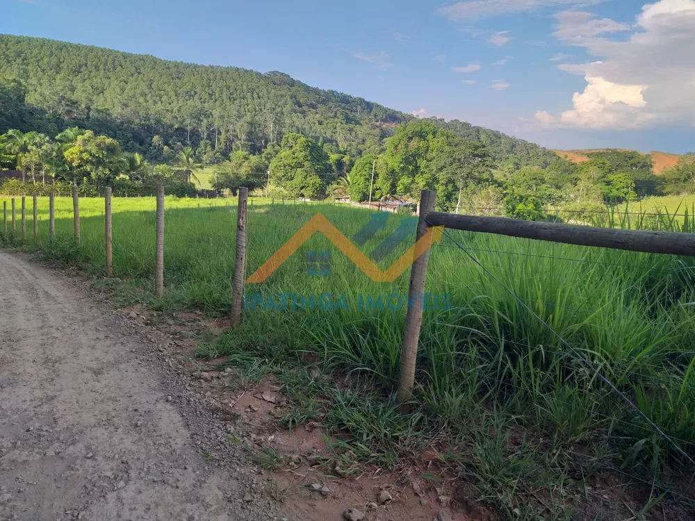 Chácara, 3 quartos, 6 hectares - Foto 4