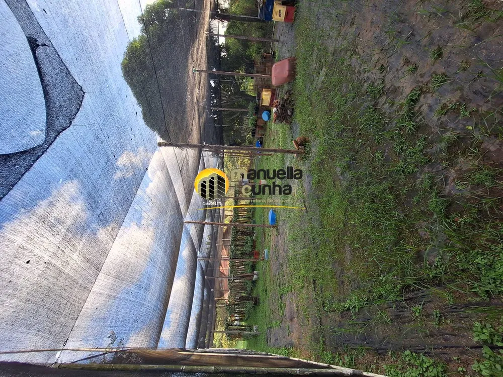Sítio, 6 quartos, 5 hectares - Foto 36