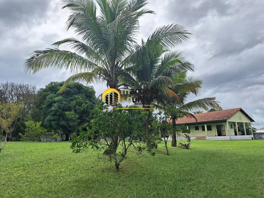 Sítio, 3 quartos, 10000 m² - Foto 4