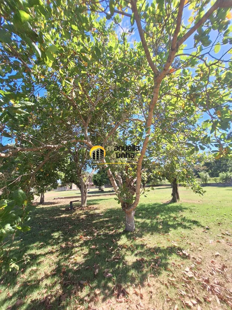 Casa, 4 quartos, 406 m² - Foto 83