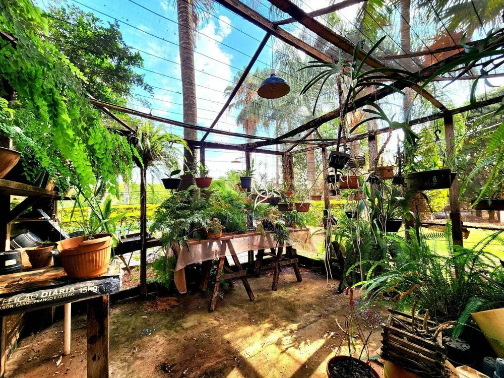 Sítio, 4 quartos, 12 hectares - Foto 4