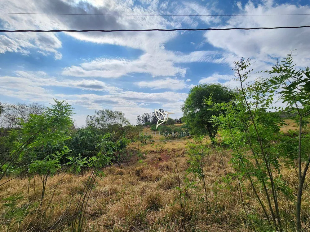 Sítio, 4 quartos, 12 hectares - Foto 6