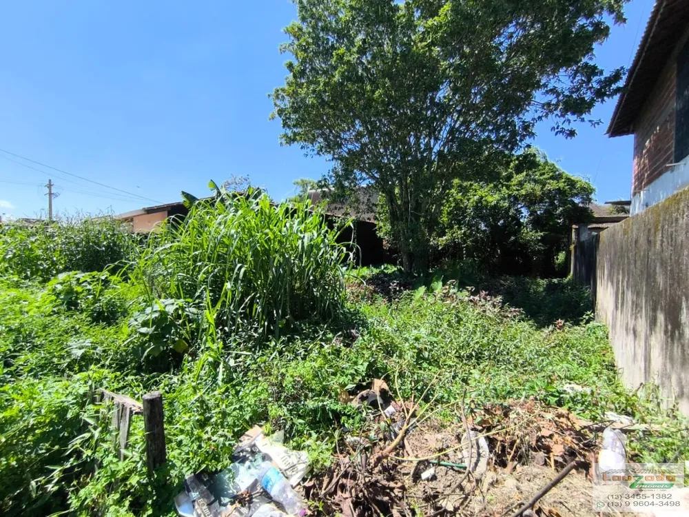 Terreno, 300 m² - Foto 4