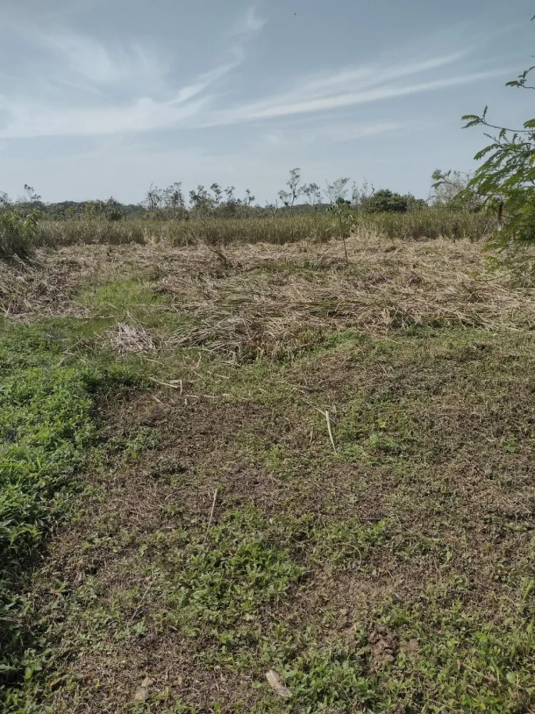 Terreno, 1400 m² - Foto 8