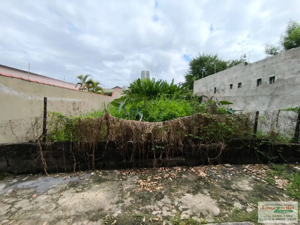 Terreno, 250 m² - Foto 2