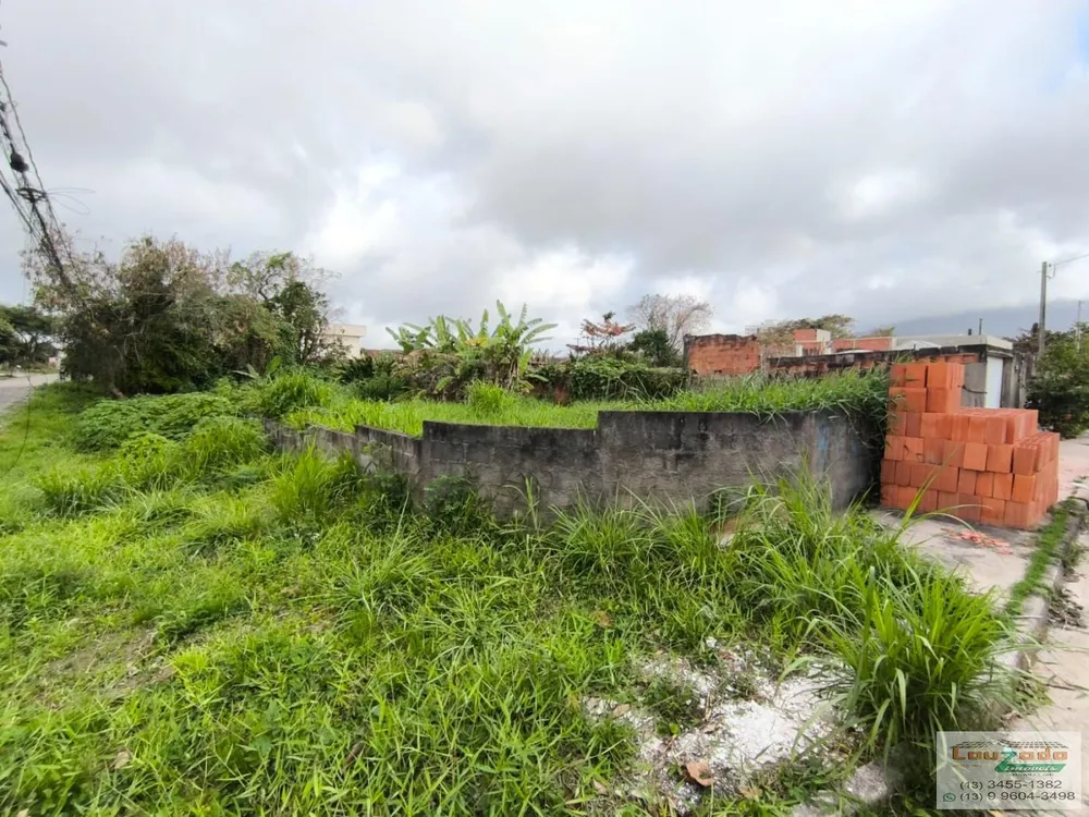 Terreno, 300 m² - Foto 3