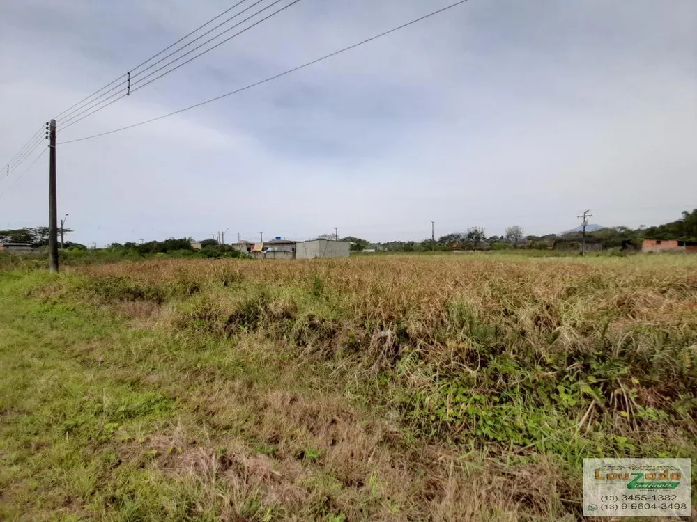 Terreno, 250 m² - Foto 1