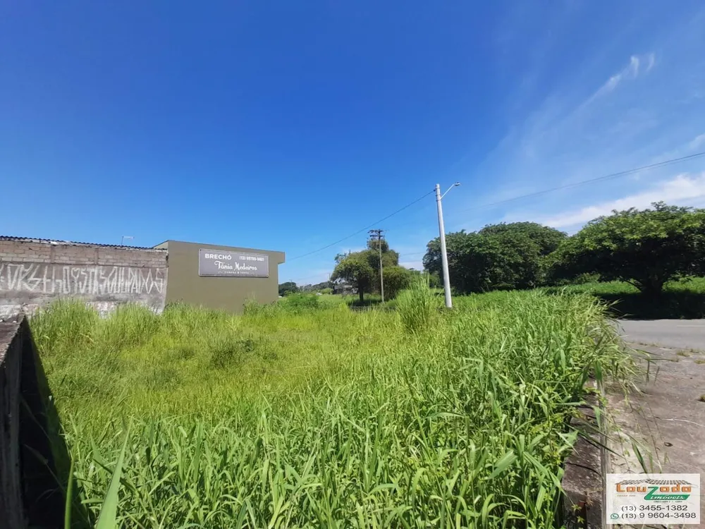 Terreno, 259 m² - Foto 3