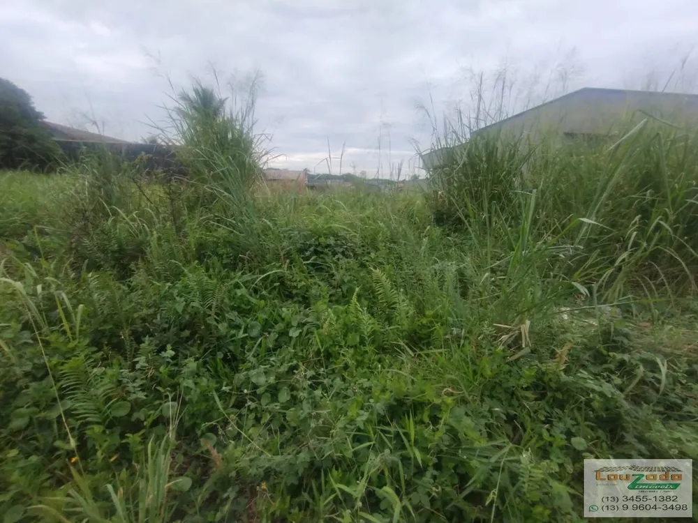 Terreno, 261 m² - Foto 5