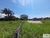 Terreno, 291 m² - Foto 3
