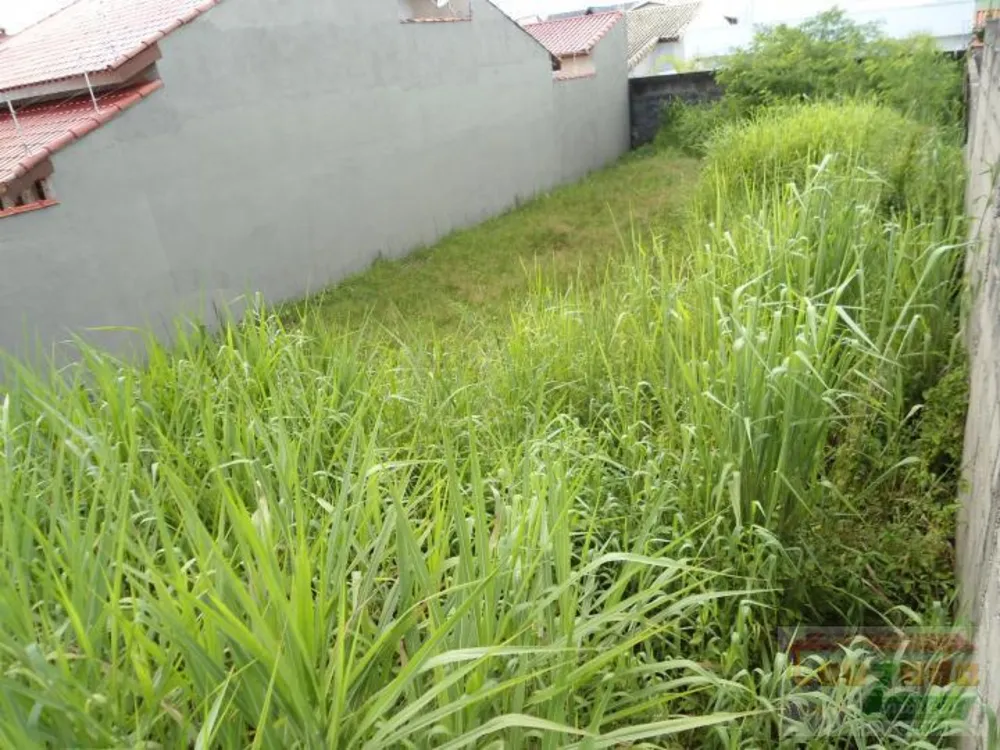 Terreno, 250 m² - Foto 2