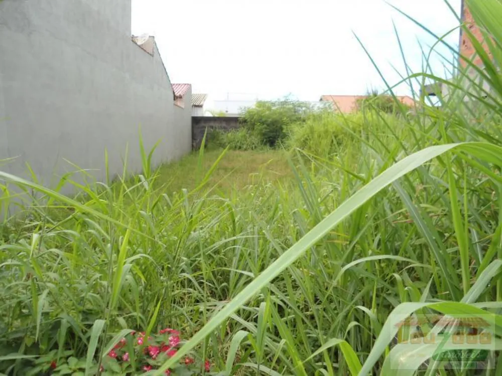Terreno, 250 m² - Foto 3