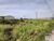 Terreno, 253 m² - Foto 2