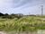 Terreno, 253 m² - Foto 3