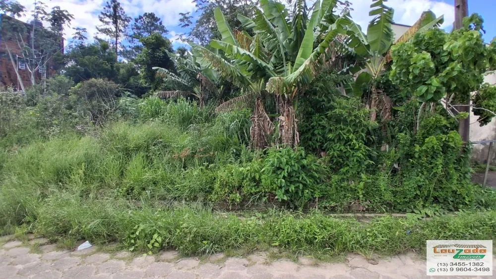 Terreno, 300 m² - Foto 3
