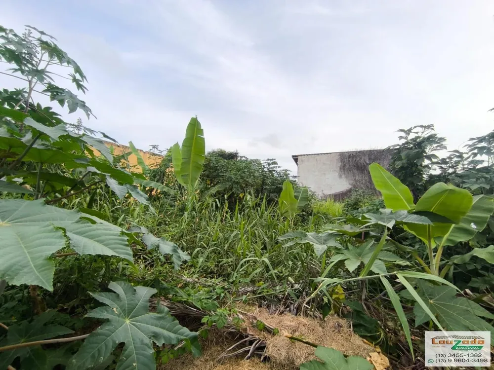 Terreno, 348 m² - Foto 3
