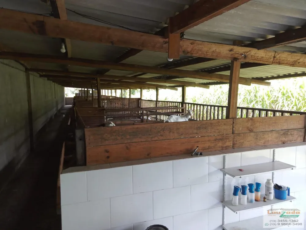 Chácara, 3 quartos, 5560 m² - Foto 6