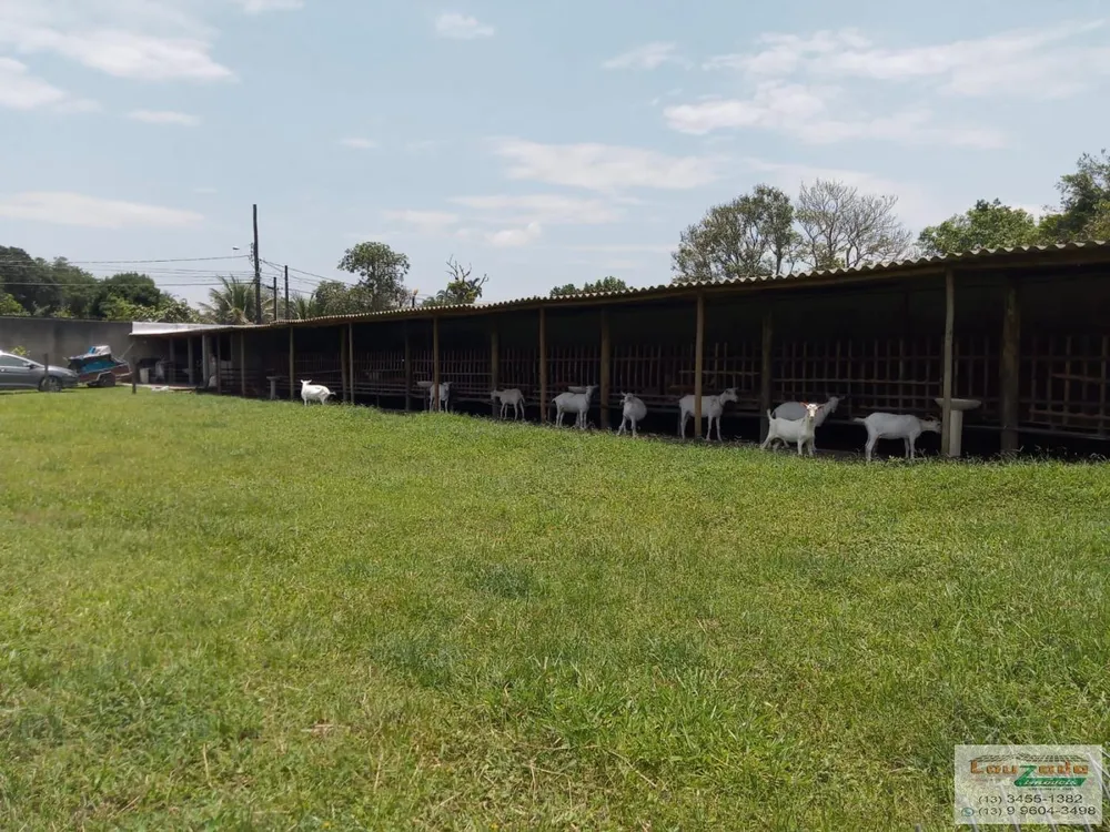 Chácara, 3 quartos, 5560 m² - Foto 4