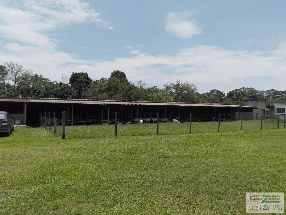 Chácara, 3 quartos, 5560 m² - Foto 3