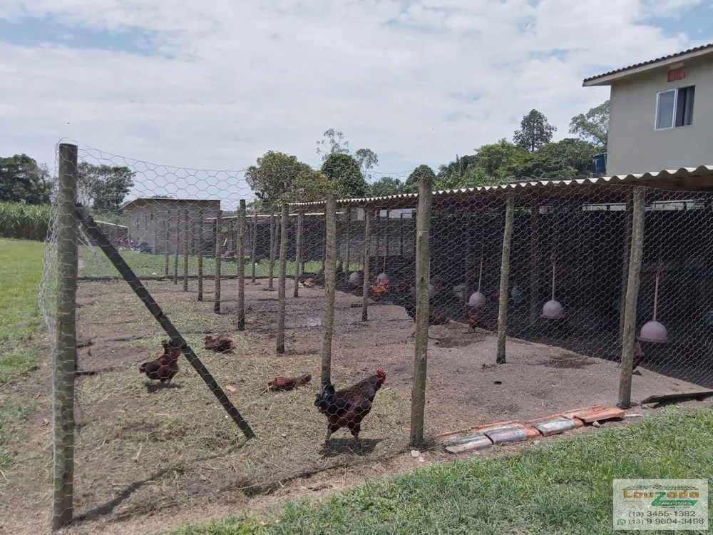 Chácara, 3 quartos, 5560 m² - Foto 8