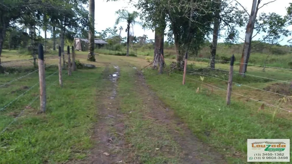 Terreno, 48 hectares - Foto 3