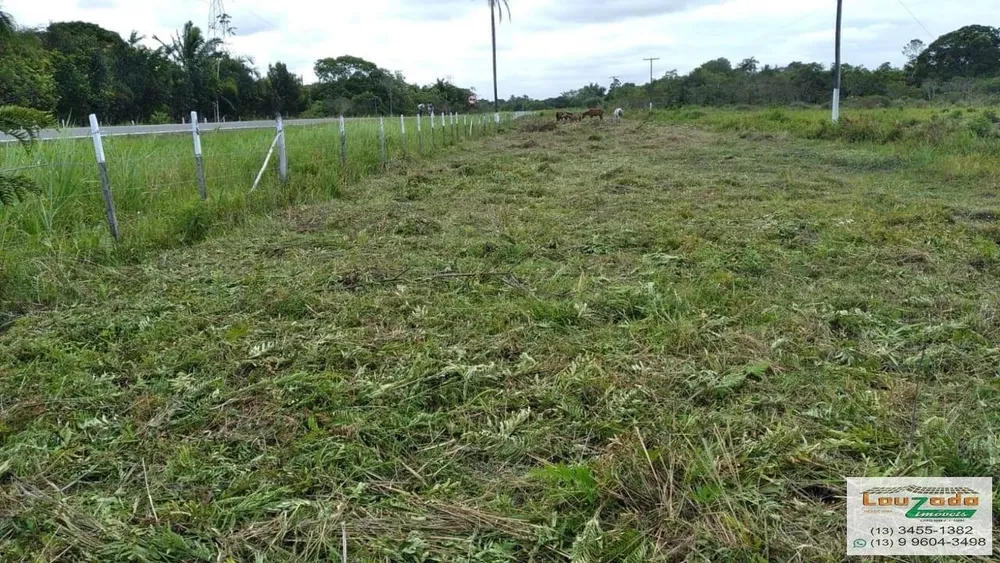 Terreno, 48 hectares - Foto 2