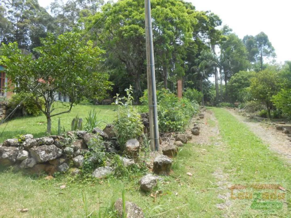 Sítio, 4 quartos, 11 hectares - Foto 8