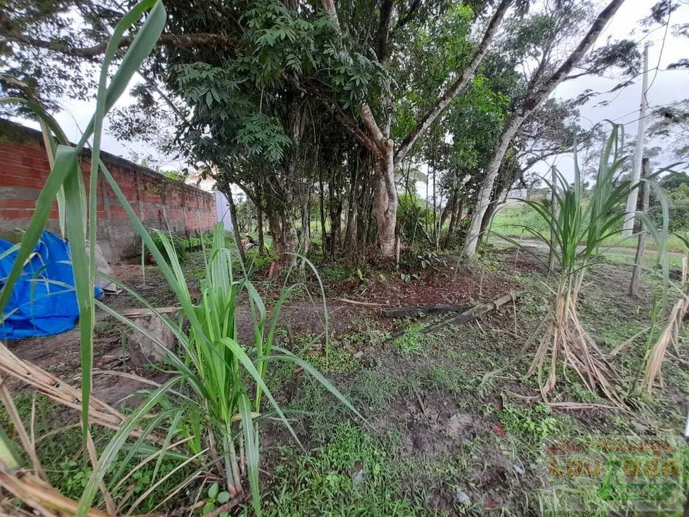Terreno, 300 m² - Foto 4