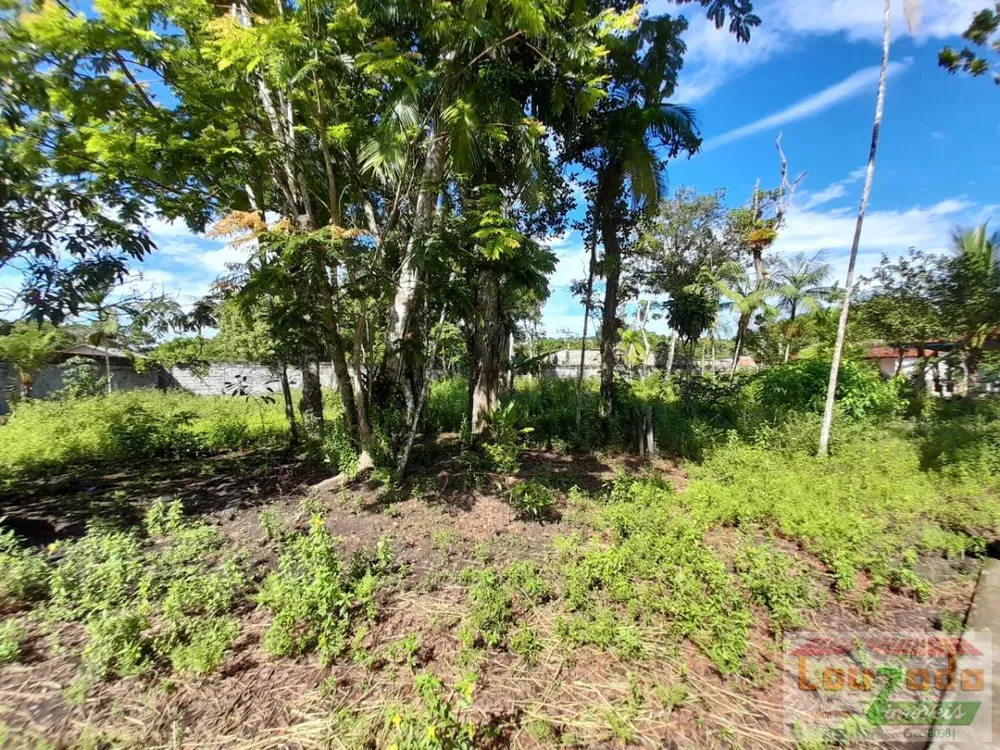 Chácara, 2 quartos, 2160 m² - Foto 5