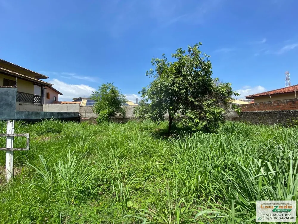 Terreno, 313 m² - Foto 3