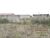 Terreno, 317 m² - Foto 3