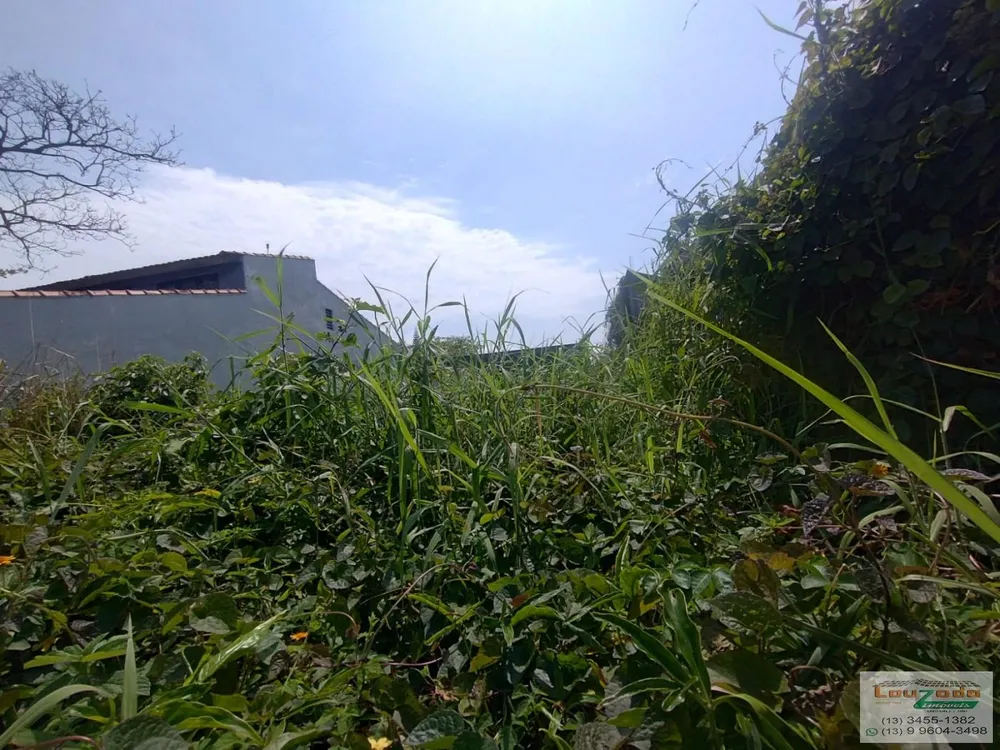 Terreno, 295 m² - Foto 1
