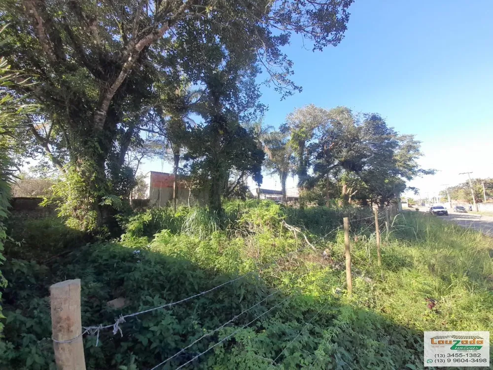 Terreno, 300 m² - Foto 3